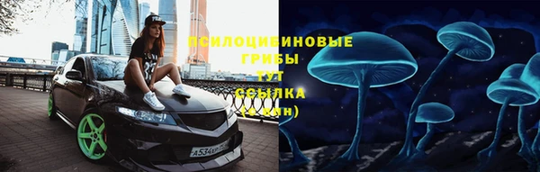 крисы Алексин